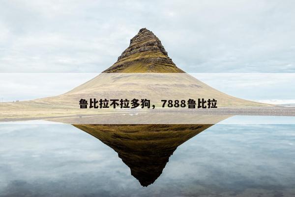 鲁比拉不拉多狗，7888鲁比拉
