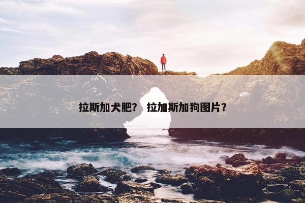 拉斯加犬肥？ 拉加斯加狗图片？