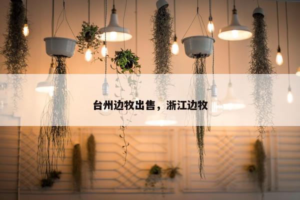 台州边牧出售，浙江边牧