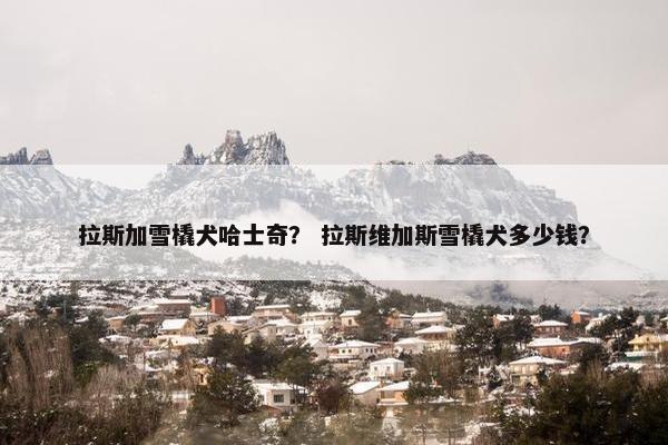 拉斯加雪橇犬哈士奇？ 拉斯维加斯雪橇犬多少钱？