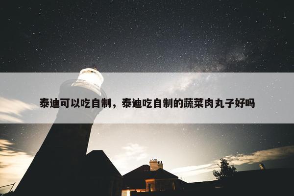 泰迪可以吃自制，泰迪吃自制的蔬菜肉丸子好吗
