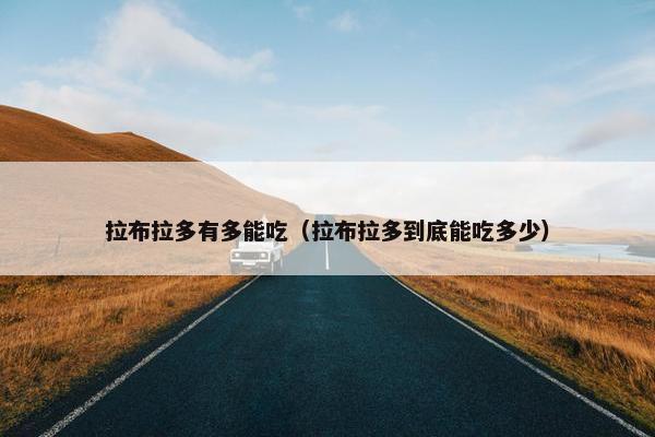 拉布拉多有多能吃（拉布拉多到底能吃多少）