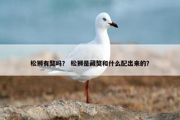 松狮有獒吗？ 松狮是藏獒和什么配出来的？