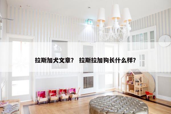 拉斯加犬文章？ 拉斯拉加狗长什么样？
