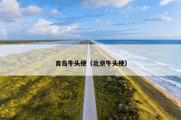 青岛牛头梗（北京牛头梗）