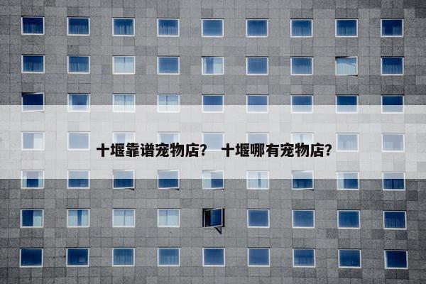 十堰靠谱宠物店？ 十堰哪有宠物店？