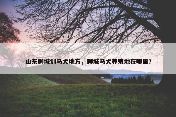 山东聊城训马犬地方，聊城马犬养殖地在哪里?