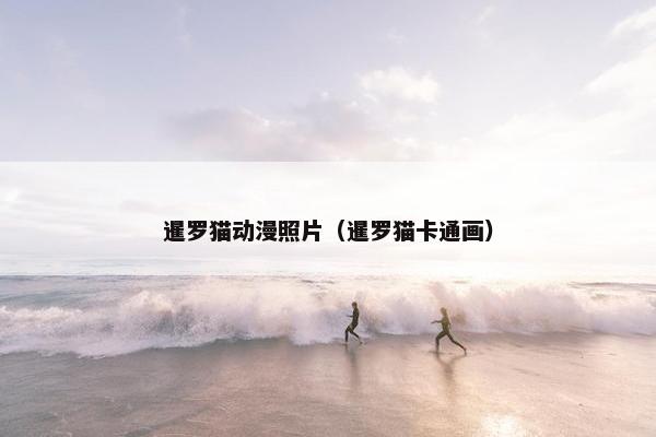 暹罗猫动漫照片（暹罗猫卡通画）
