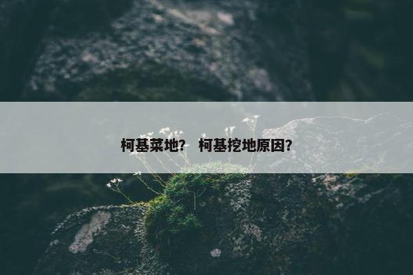 柯基菜地？ 柯基挖地原因？