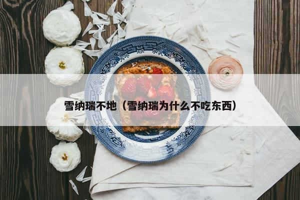 雪纳瑞不地（雪纳瑞为什么不吃东西）