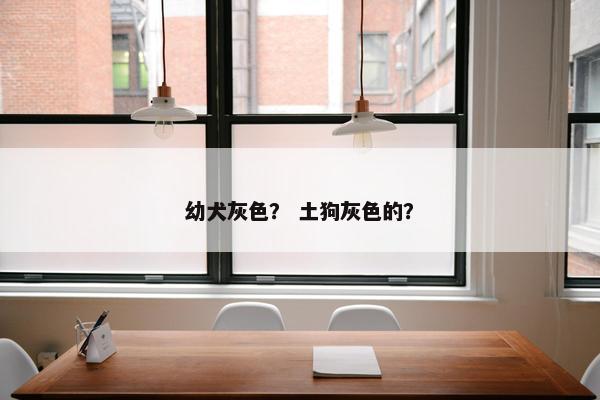 幼犬灰色？ 土狗灰色的？
