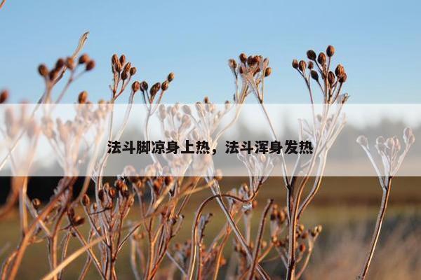 法斗脚凉身上热，法斗浑身发热