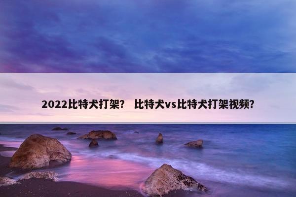 2022比特犬打架？ 比特犬vs比特犬打架视频？