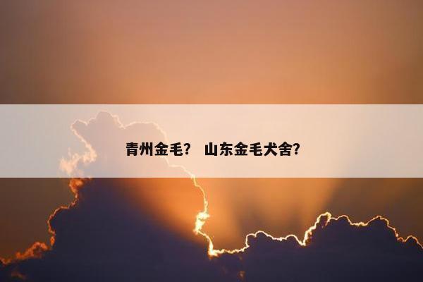 青州金毛？ 山东金毛犬舍？