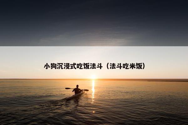 小狗沉浸式吃饭法斗（法斗吃米饭）