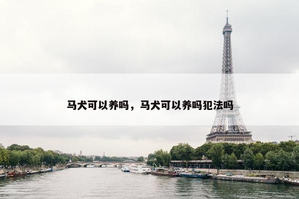 马犬可以养吗，马犬可以养吗犯法吗