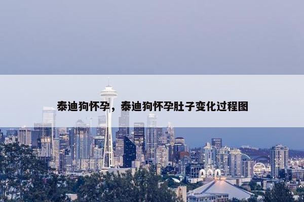 泰迪狗怀孕，泰迪狗怀孕肚子变化过程图