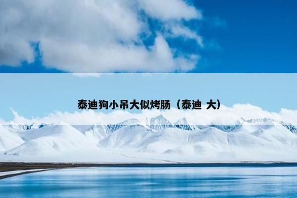泰迪狗小吊大似烤肠（泰迪 大）