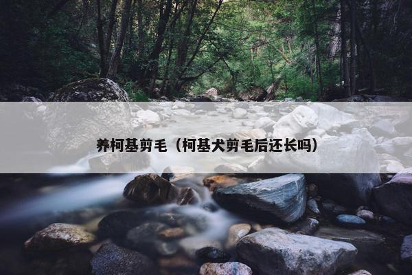 养柯基剪毛（柯基犬剪毛后还长吗）