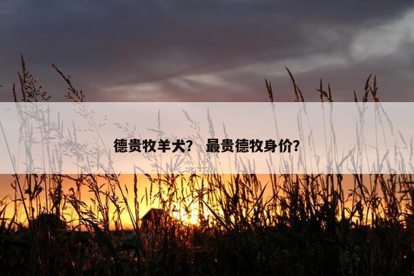 德贵牧羊犬？ 最贵德牧身价？