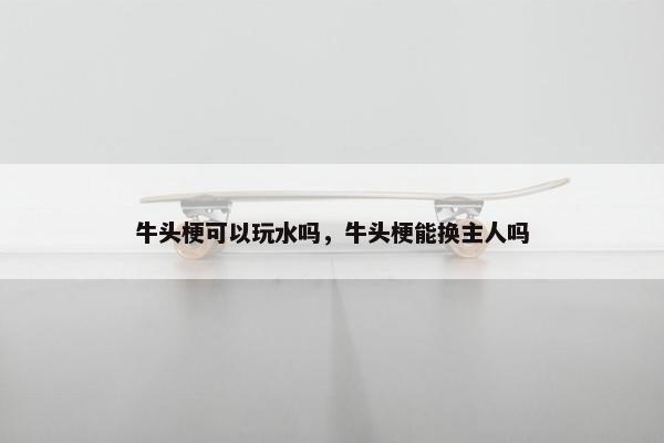 牛头梗可以玩水吗，牛头梗能换主人吗