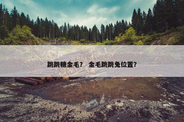 跳跳糖金毛？ 金毛跳跳兔位置？