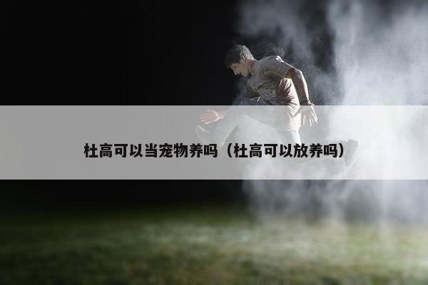 杜高可以当宠物养吗（杜高可以放养吗）