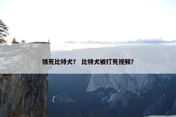 饿死比特犬？ 比特犬被打死视频？