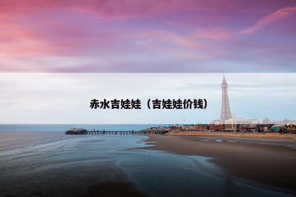 赤水吉娃娃（吉娃娃价钱）