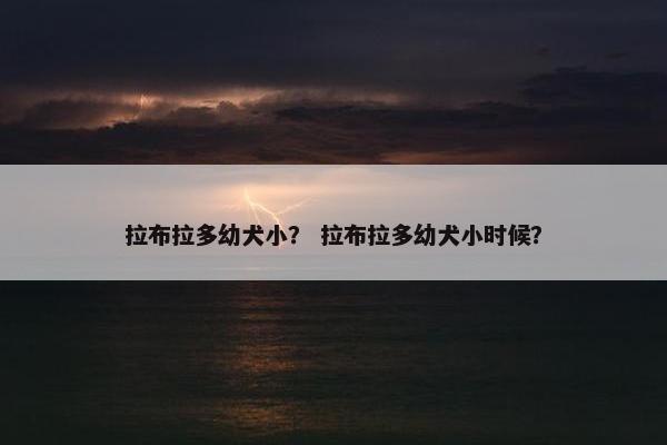 拉布拉多幼犬小？ 拉布拉多幼犬小时候？