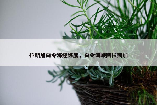 拉斯加白令海经纬度，白令海峡阿拉斯加
