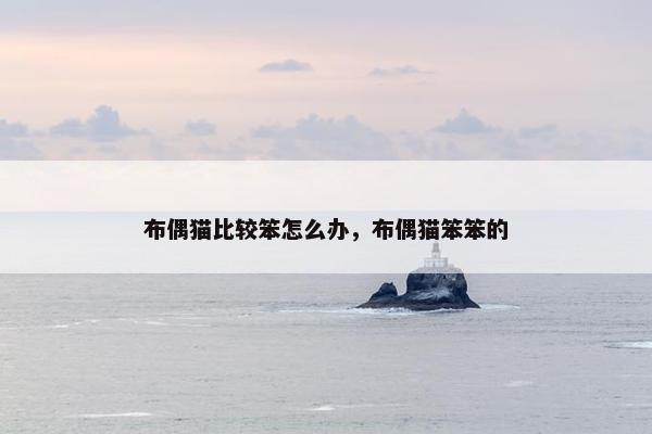 布偶猫比较笨怎么办，布偶猫笨笨的