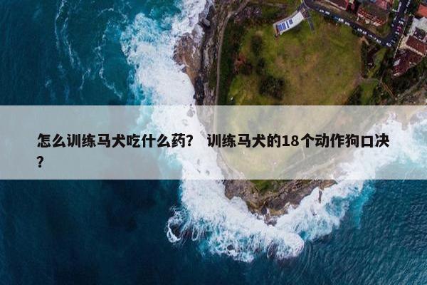 怎么训练马犬吃什么药？ 训练马犬的18个动作狗口决？
