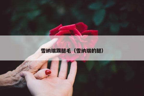 雪纳瑞踢腿毛（雪纳瑞的腿）