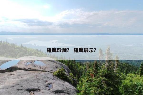 雄鹰珍藏？ 雄鹰展示？