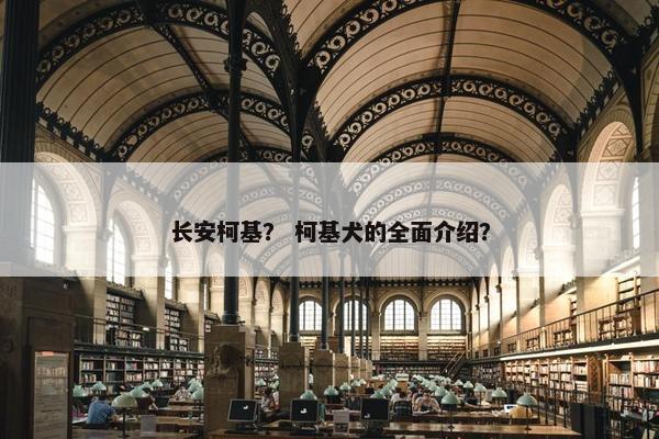 长安柯基？ 柯基犬的全面介绍？