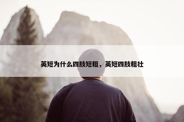 英短为什么四肢短粗，英短四肢粗壮