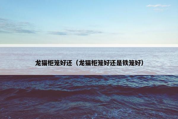 龙猫柜笼好还（龙猫柜笼好还是铁笼好）
