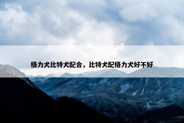 格力犬比特犬配合，比特犬配格力犬好不好