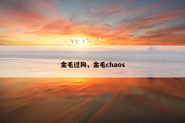 金毛过狗，金毛chaos