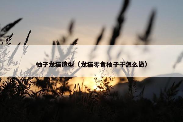 柚子龙猫造型（龙猫零食柚子干怎么做）