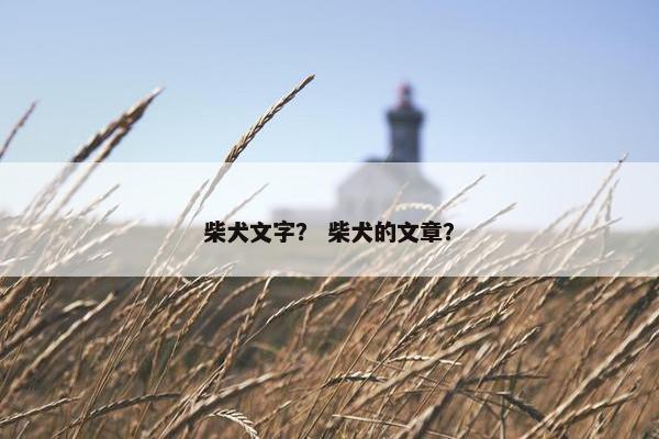 柴犬文字？ 柴犬的文章？