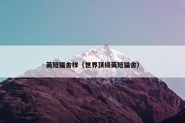 英短猫舍样（世界顶级英短猫舍）