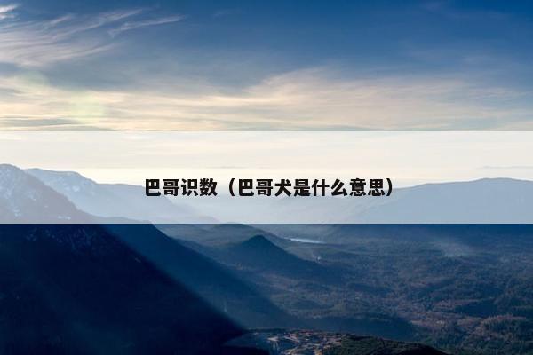 巴哥识数（巴哥犬是什么意思）
