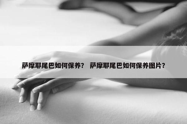 萨摩耶尾巴如何保养？ 萨摩耶尾巴如何保养图片？