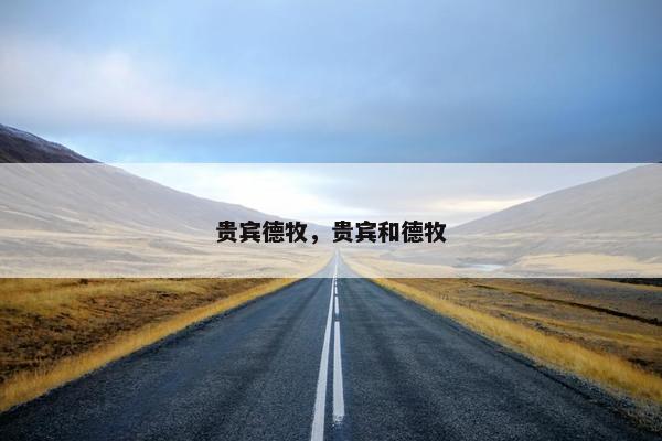贵宾德牧，贵宾和德牧