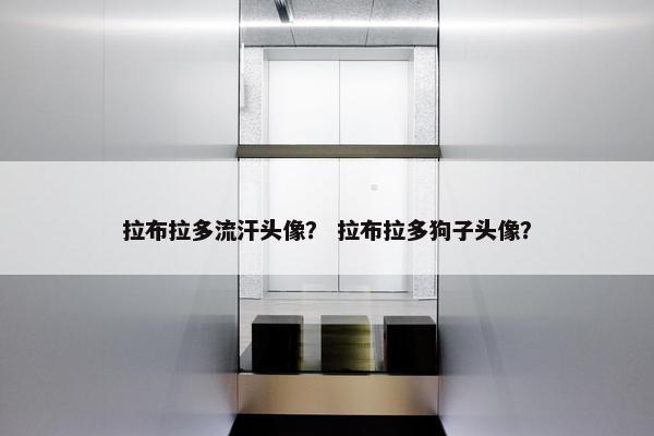 拉布拉多流汗头像？ 拉布拉多狗子头像？