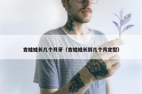 吉娃娃长几个月牙（吉娃娃长到几个月定型）