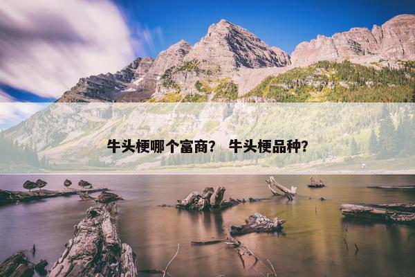 牛头梗哪个富商？ 牛头梗品种？