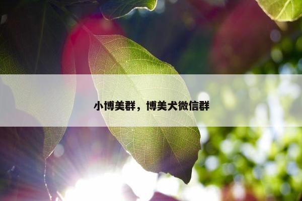 小博美群，博美犬微信群